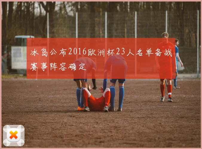 冰岛公布2016欧洲杯23人名单备战赛事阵容确定