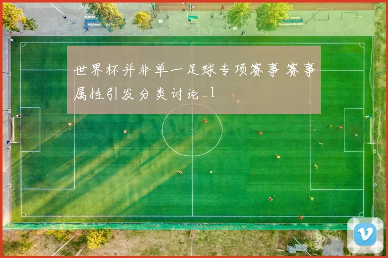 世界杯并非单一足球专项赛事 赛事属性引发分类讨论_1