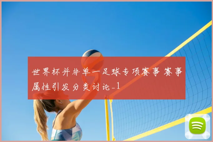 世界杯并非单一足球专项赛事 赛事属性引发分类讨论_1