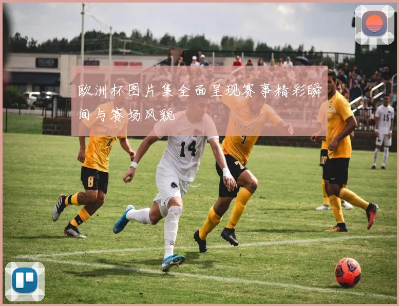 欧洲杯图片集全面呈现赛事精彩瞬间与赛场风貌