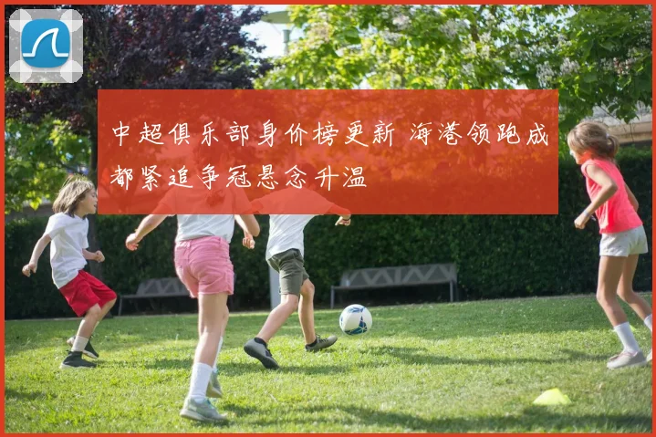 中超俱乐部身价榜更新 海港领跑成都紧追争冠悬念升温